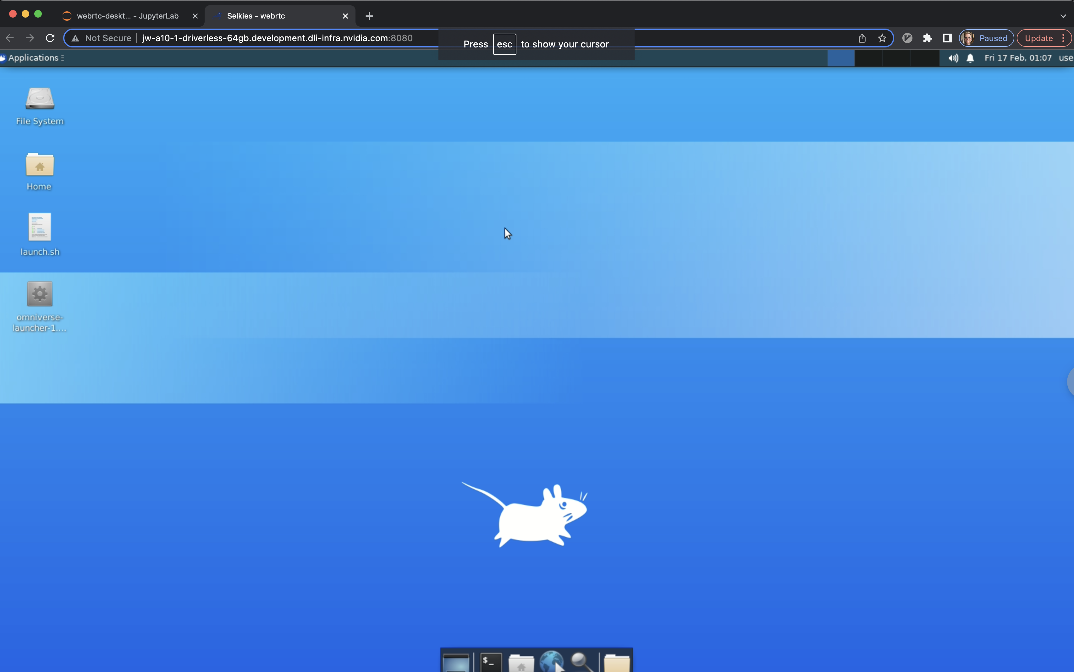 Omniverse Remote Desktop Troubleshooting Guide — Omniverse Remote ...